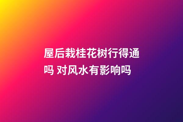 屋后栽桂花树行得通吗 对风水有影响吗